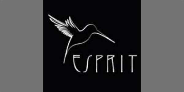 ESPRIT AUDIO